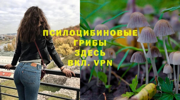мдпв Покровск