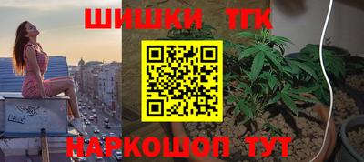 гидропоника Гусь-Хрустальный