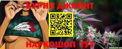 гидропоника Гусь-Хрустальный