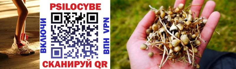 наркошоп  ОМГ ОМГ ссылка  Галлюциногенные грибы Psilocybe  Мурманск 
