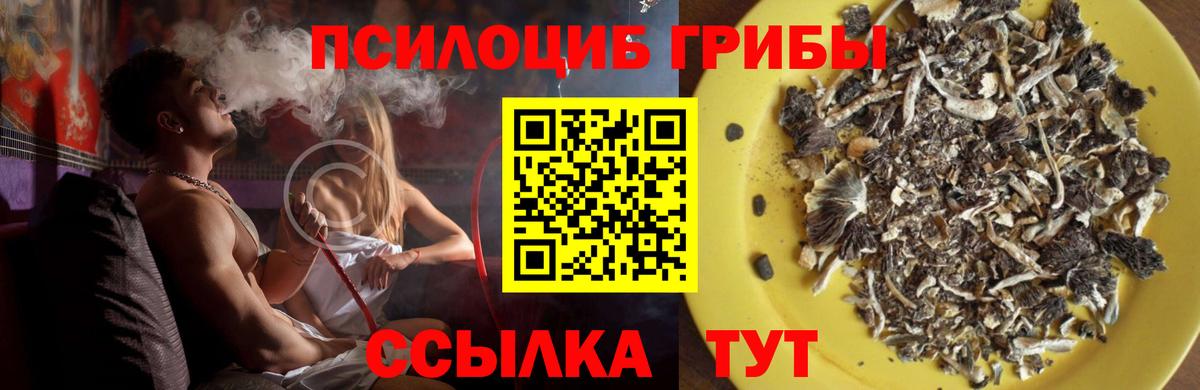 Alpha PVP Мурманск